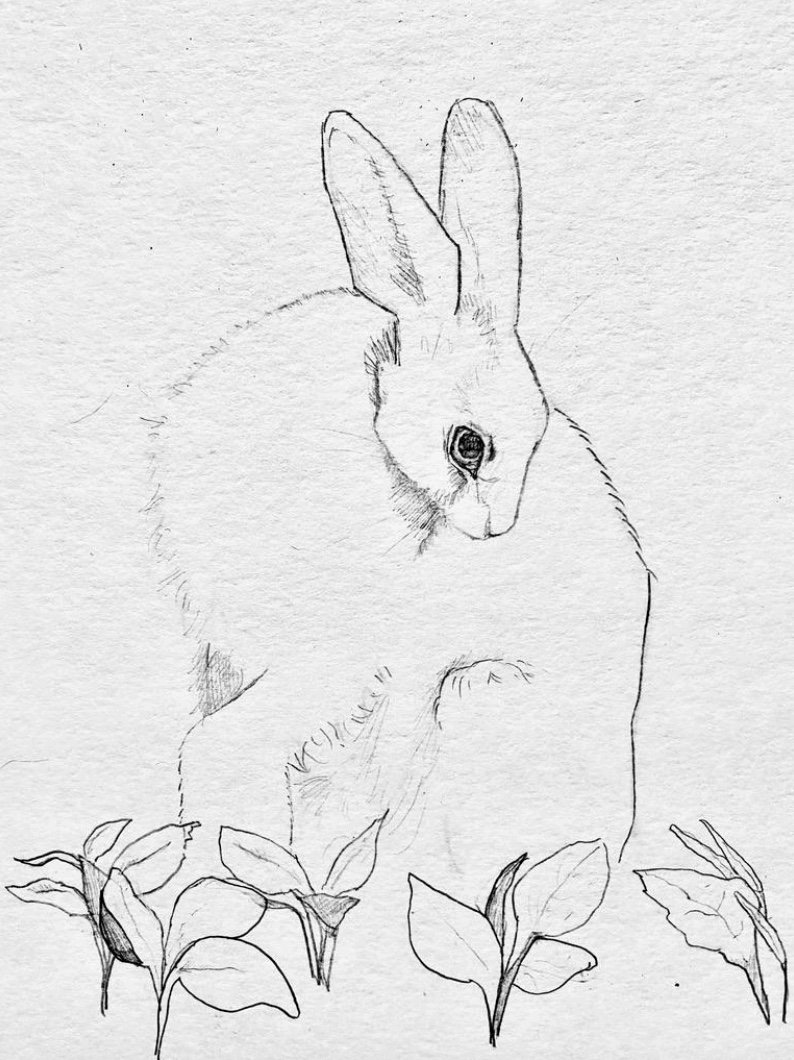 Image 10 21 25 At 9.52 PM